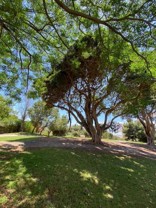 Apt Moderno Con Vistas, Recepcion 24 Hs Y Piscinas Беналмадена Екстериор снимка